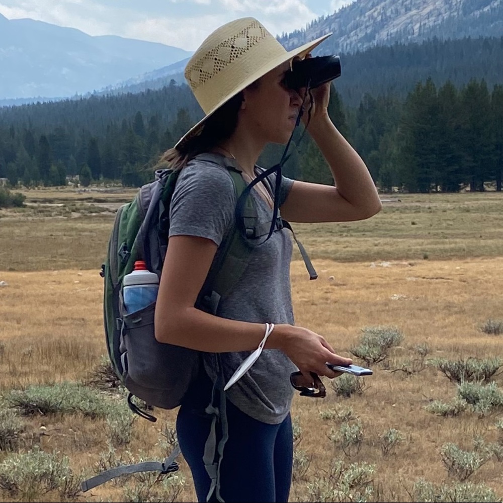 Brixton Joanna IV hat - size m, sold out online!!